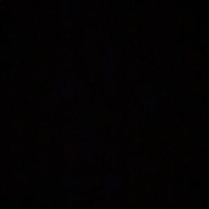 Meet your Posher, Enrique